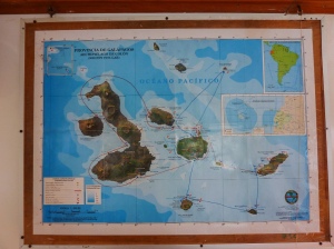 A picture of the map on the wall in the boat... our route is the red one. We started in San Cristobal and ended in Baltra, going clockwise.