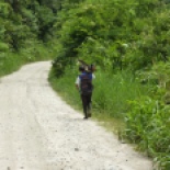 We biked up the old road a ways and saw this hombre with his chainsaw... didn't get a chance to talk with him, but how Captain Planet is this picture??