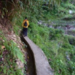 Hiking out and across the Batad terraces.... most of the walk was like a balance beam. Derick said, "Mud on one side, mud and pain on the other." I tried to always focus on the side with just mud....