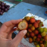 Meet the Rambutan, spikey and red on the outside, soft and juicy in the middle.