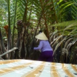 At one point we stopped and Thuy got out her knife and started cutting one of the palms of a coconut tree (The striped fabric is the top of the boat's shade awning).