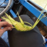 .... she made the coconot palm fiber into this cool grasshopper, all while driving the boat! This guy decorates my bike now, along with a bracelet she made me out of the same thing.