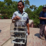 This guy was selling good luck birds. You buy one and then let it go. I totally did it.