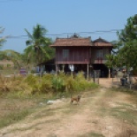 Example of a house along National Hwy 3, between Phnom Penh and Kampot... I think they're lifted to keep the snakes and rats out, and the rain during the wet season.