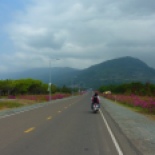 Headed to Bokor on the motorbikes... it was so nice to feel a cool breeze, even a small elevation gain made a big difference. Pretty roadside flowers too.