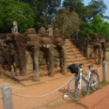 Bike appreciating the terrace of the elephants