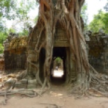 This is the reward for biking all the way out to the farthest eastern wat in the main Angkor park area... it's called Ta Som and a tree is growing over the eastern gate! It's slowly destroying the stone, but cool looking nonetheless.