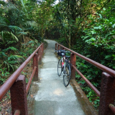 Once I entered the park, there were a few offshoot trails out to see waterfalls or other lookout points. This one I tried to bike to, but then there were stairs later on.... oops!