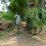 Lonely bike without its rider, seen on the way out of the Rangantthitu bird sanctuary
