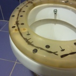 I went to a war museum in Gallipoli, and it was cool but everything was in Turkish so I didn't understand a whole lot. I was pretty amused by the toilet seat in the museum's bathroom too...